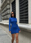 The Seamline Ribbed Long Sleeve Mini Dress - 1069