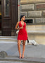 Velvet Flame Halter Mini Dress Night Luxe Edition - 1233