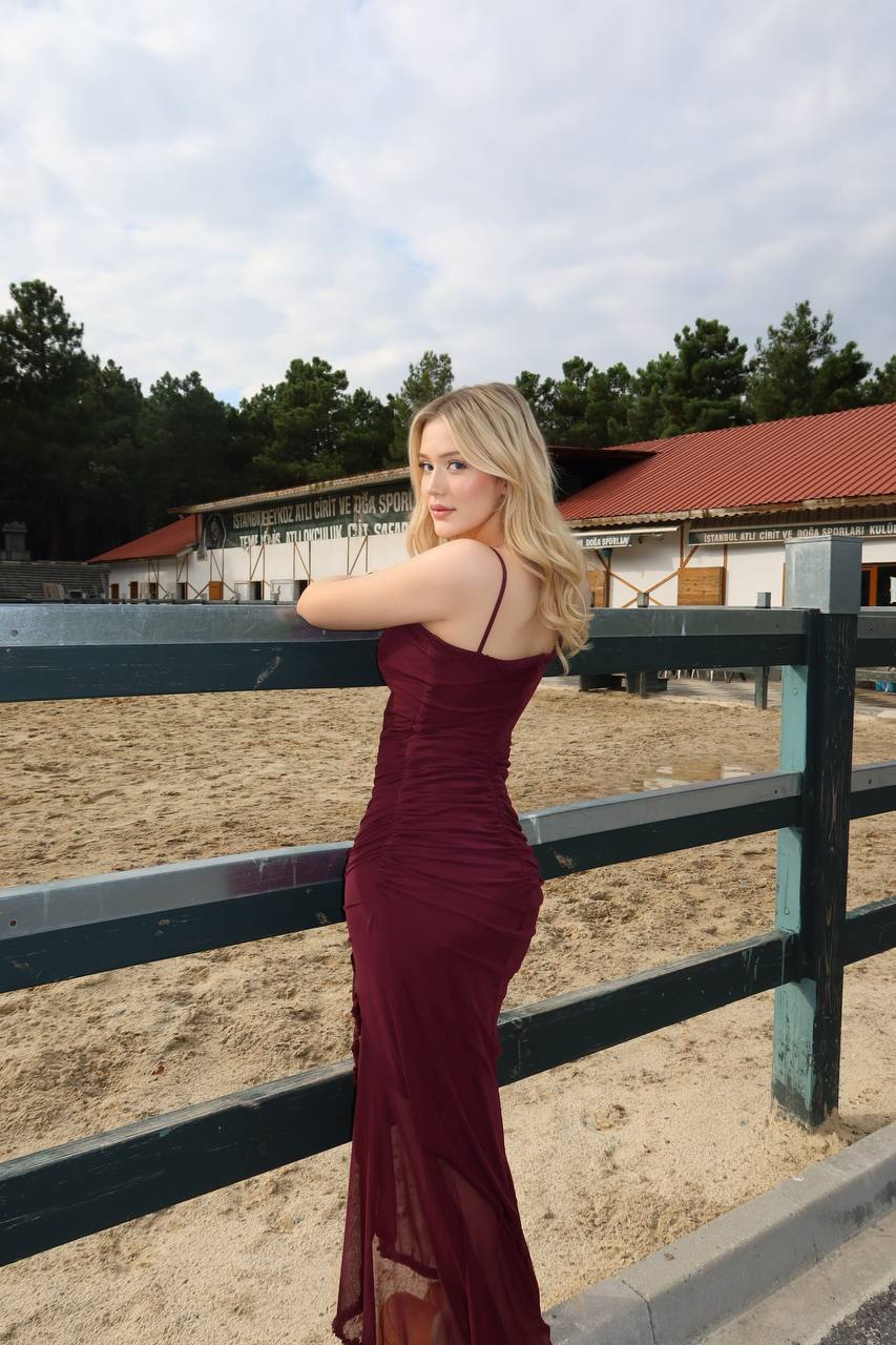 Ethereal Grace Mesh Ruffle Maxi Dress – 1257