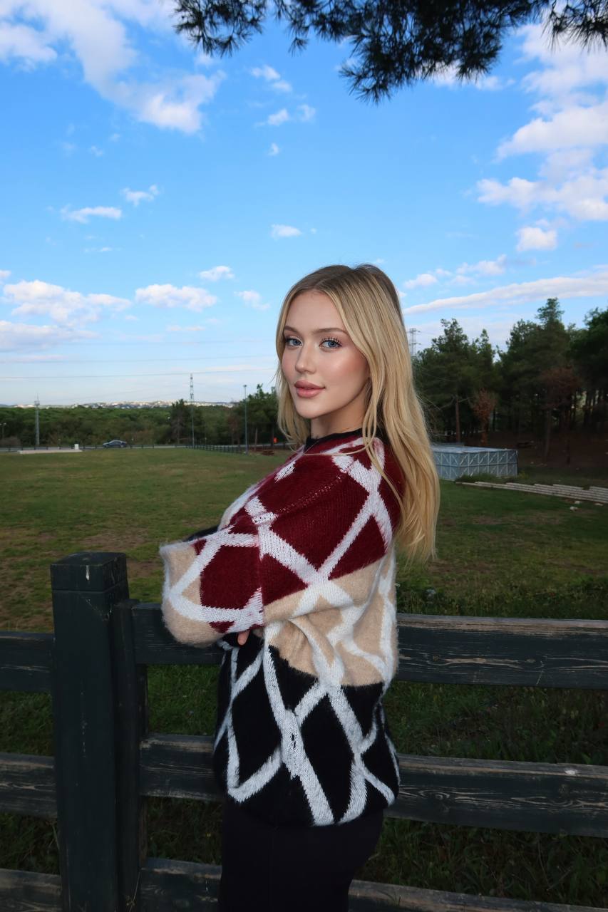 The Frosted Harmony Knit Sweater – 1255