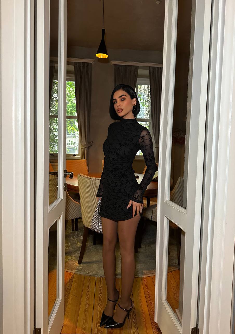 Velvet Muse Mini Dress Bodycon Sheer Lace 1273