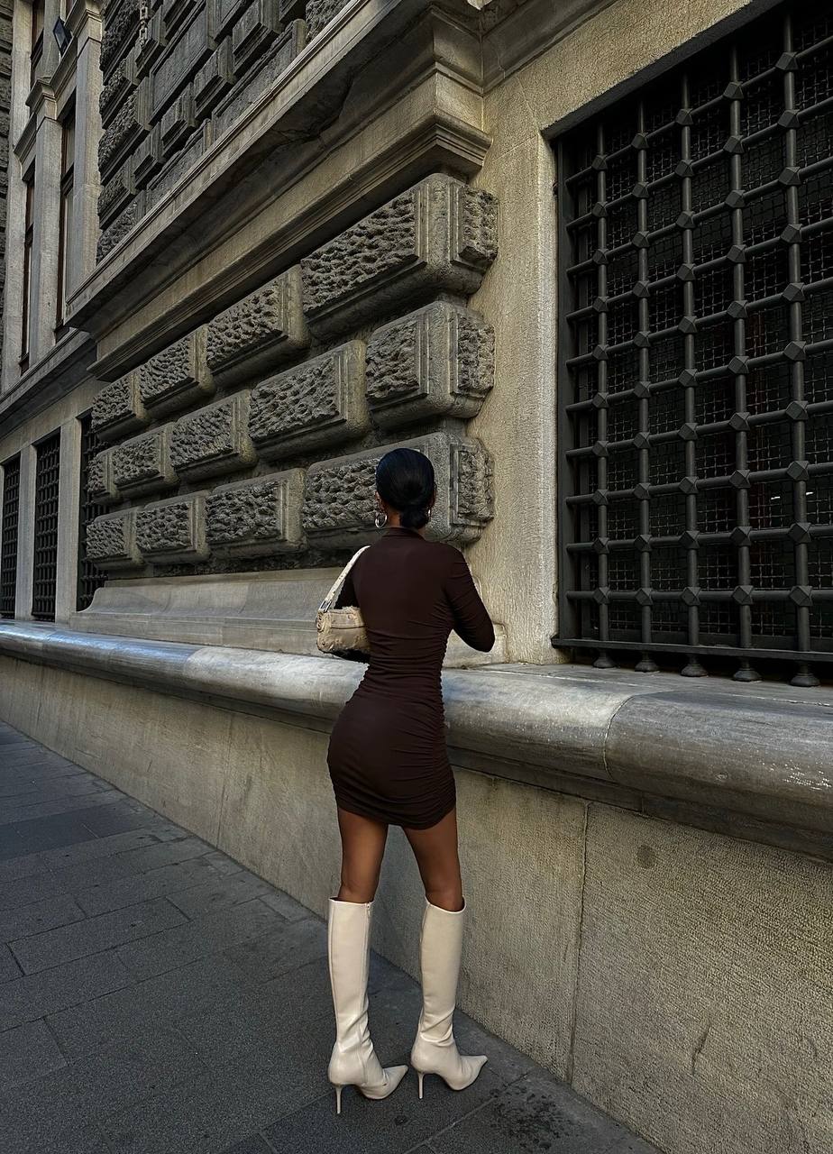 The Luxe Ruched Long Sleeve Mini Dress – 1043