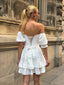 The Delphine Ruffled Corset Dress - 1115