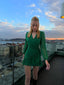 The Enchanted Elegance Ruffle Mini Dress- 1090