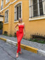 The Fleur Flare Corset Dress – 1218