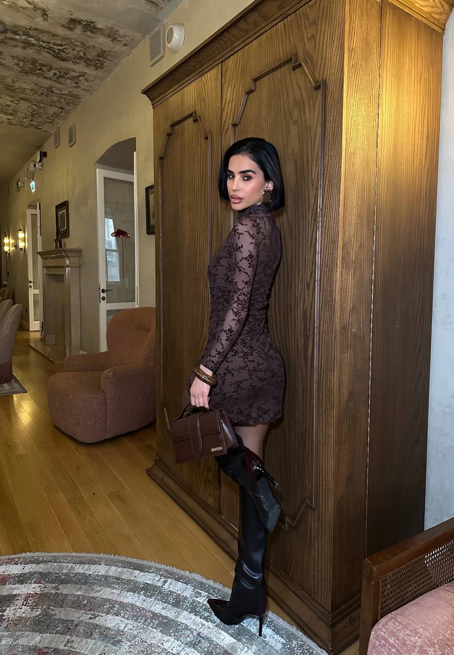 Velvet Muse Mini Dress Bodycon Sheer Lace 1273