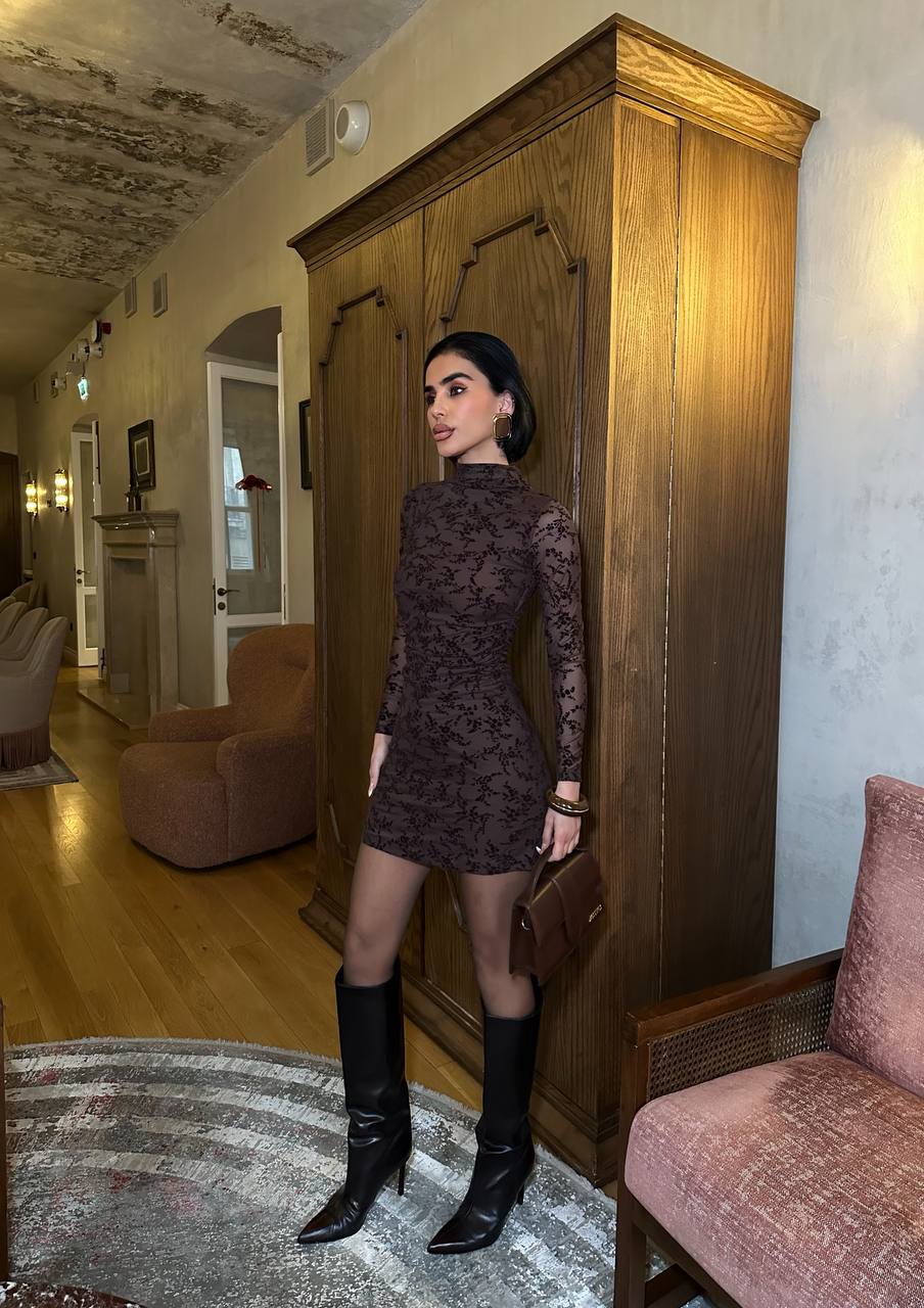 Velvet Muse Mini Dress Bodycon Sheer Lace 1273