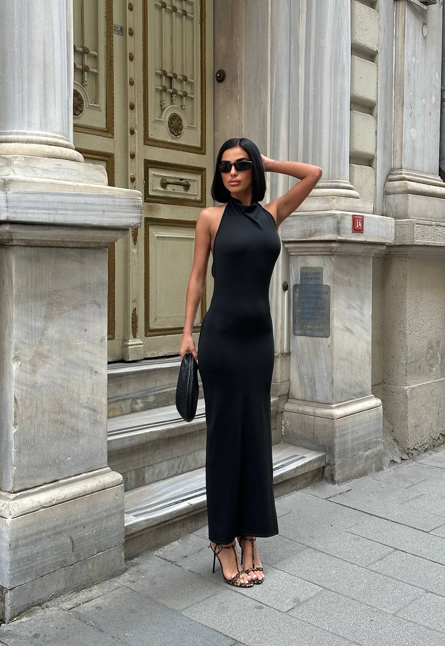 The Palermo Backless Maxi Dress Sultry Sophistication - 1182