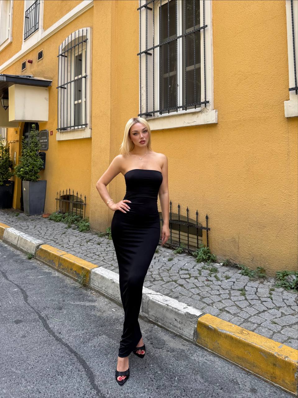 The Fleur Flare Corset Dress – 1218